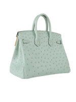 Birkin 25 Grade-A Ostrich - Pistachio with 24K Gold Hardware (Classic Women's Handbag, Blind Stamp)