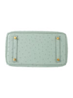 Birkin 25 Grade-A Ostrich - Pistachio with 24K Gold Hardware (Classic Women's Handbag, Blind Stamp)