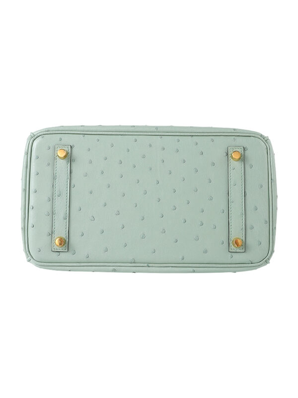Birkin 25 Grade-A Ostrich - Pistachio with 24K Gold Hardware (Classic Women's Handbag, Blind Stamp)