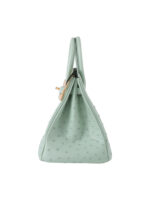 Birkin 25 Grade-A Ostrich - Pistachio with 24K Gold Hardware (Classic Women's Handbag, Blind Stamp)