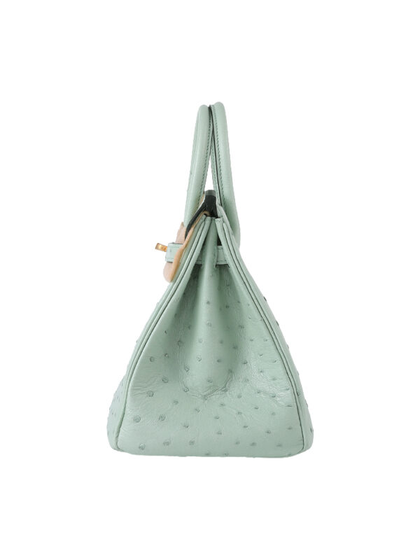 Birkin 25 Grade-A Ostrich - Pistachio with 24K Gold Hardware (Classic Women's Handbag, Blind Stamp)