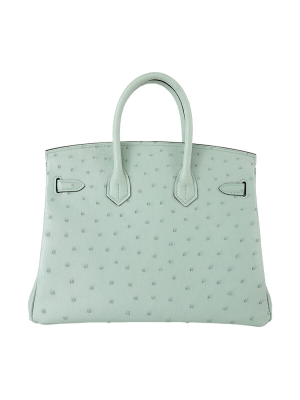 Birkin 25 Grade-A Ostrich - Pistachio with 24K Gold Hardware (Classic Women's Handbag, Blind Stamp)