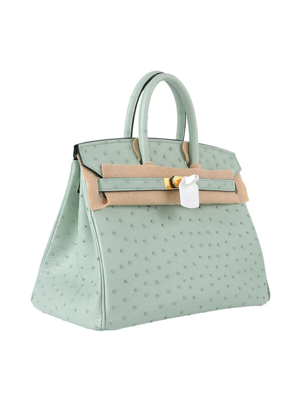 Birkin 25 Grade-A Ostrich - Pistachio with 24K Gold Hardware (Classic Women's Handbag, Blind Stamp)
