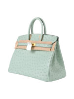 Birkin 25 Grade-A Ostrich - Pistachio with 24K Gold Hardware (Classic Women's Handbag, Blind Stamp)