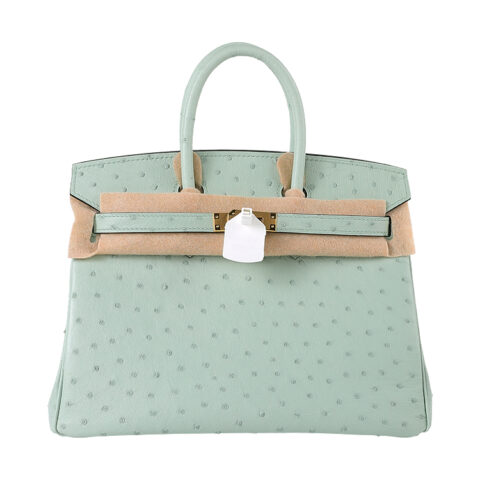 Birkin 25 Grade-A Ostrich - Pistachio with 24K Gold Hardware (Classic Women's Handbag, Blind Stamp)